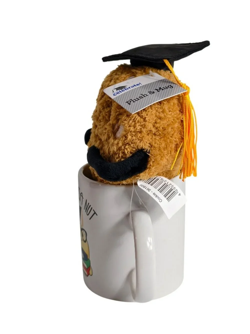 Celebrate Academia Nut Graduation Mug Plush Nut Toy Funny Grad Gift Keepsake